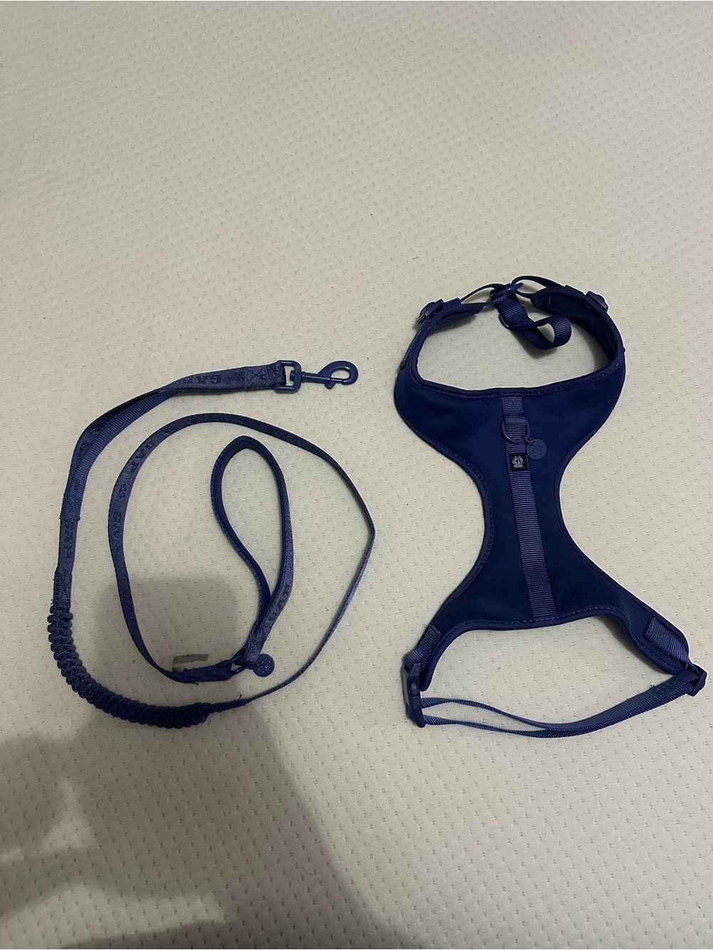 GAP Dog Leash and Harness